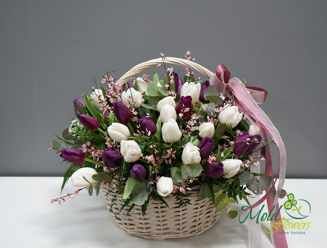 Basket with White and Purple Tulips photo